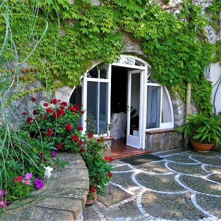 Villa Le Olivine Półwysep Sorrentyński Zewnętrze zdjęcie