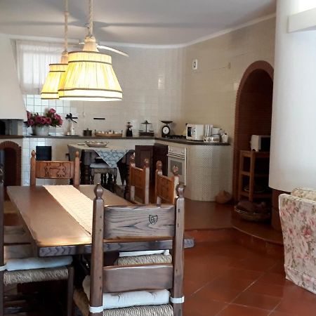 Villa Le Olivine Półwysep Sorrentyński Zewnętrze zdjęcie