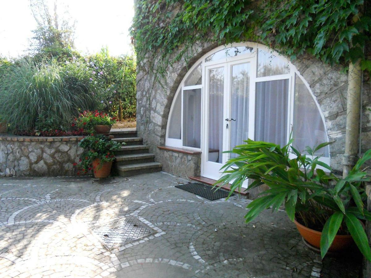 Villa Le Olivine Półwysep Sorrentyński Zewnętrze zdjęcie