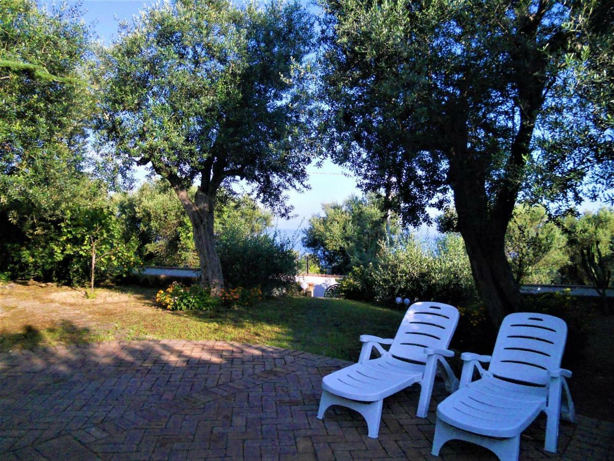 Villa Le Olivine Półwysep Sorrentyński Zewnętrze zdjęcie