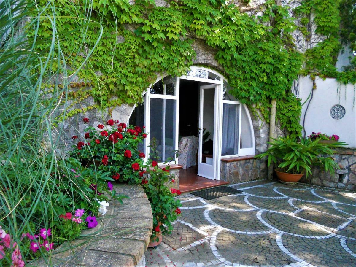 Villa Le Olivine Półwysep Sorrentyński Zewnętrze zdjęcie